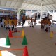 La semaine Olympique et Paralympique à l'école élémentaire Clair Saint-Maximin