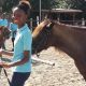 Projet cheval au centre équestre de Colombier