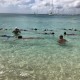 Exercice dans l'eau avec les stagiaires